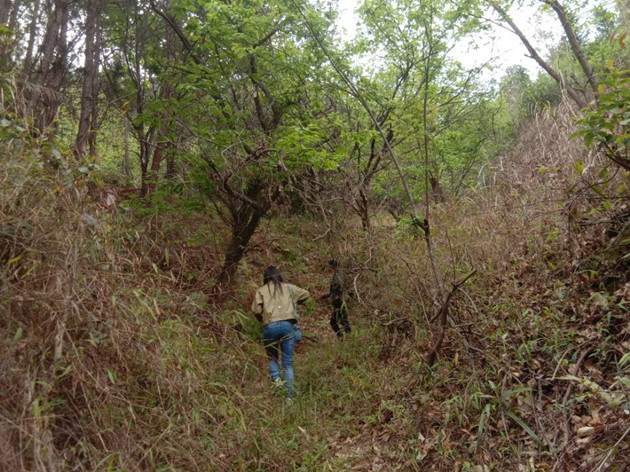 朱岚英老师在贫困户家山地考察的背影2_副本.jpg